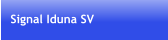 Signal Iduna SV