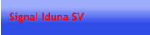 Signal Iduna SV