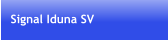 Signal Iduna SV